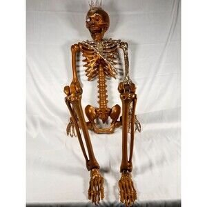 Martha Stewart Gold skeleton 5'